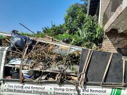Best Demolition Debris Removal  in Harlem Heights, FL